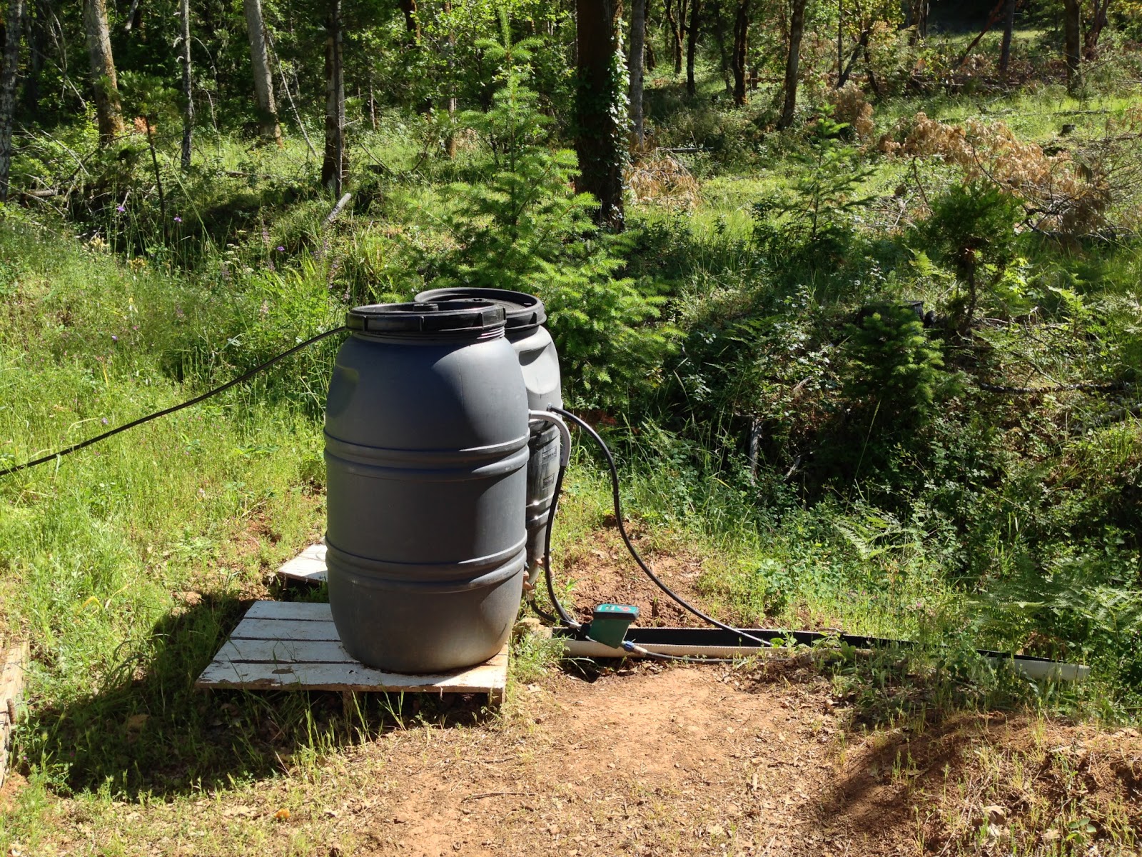 Off grid watering solutions HOMEGROWN